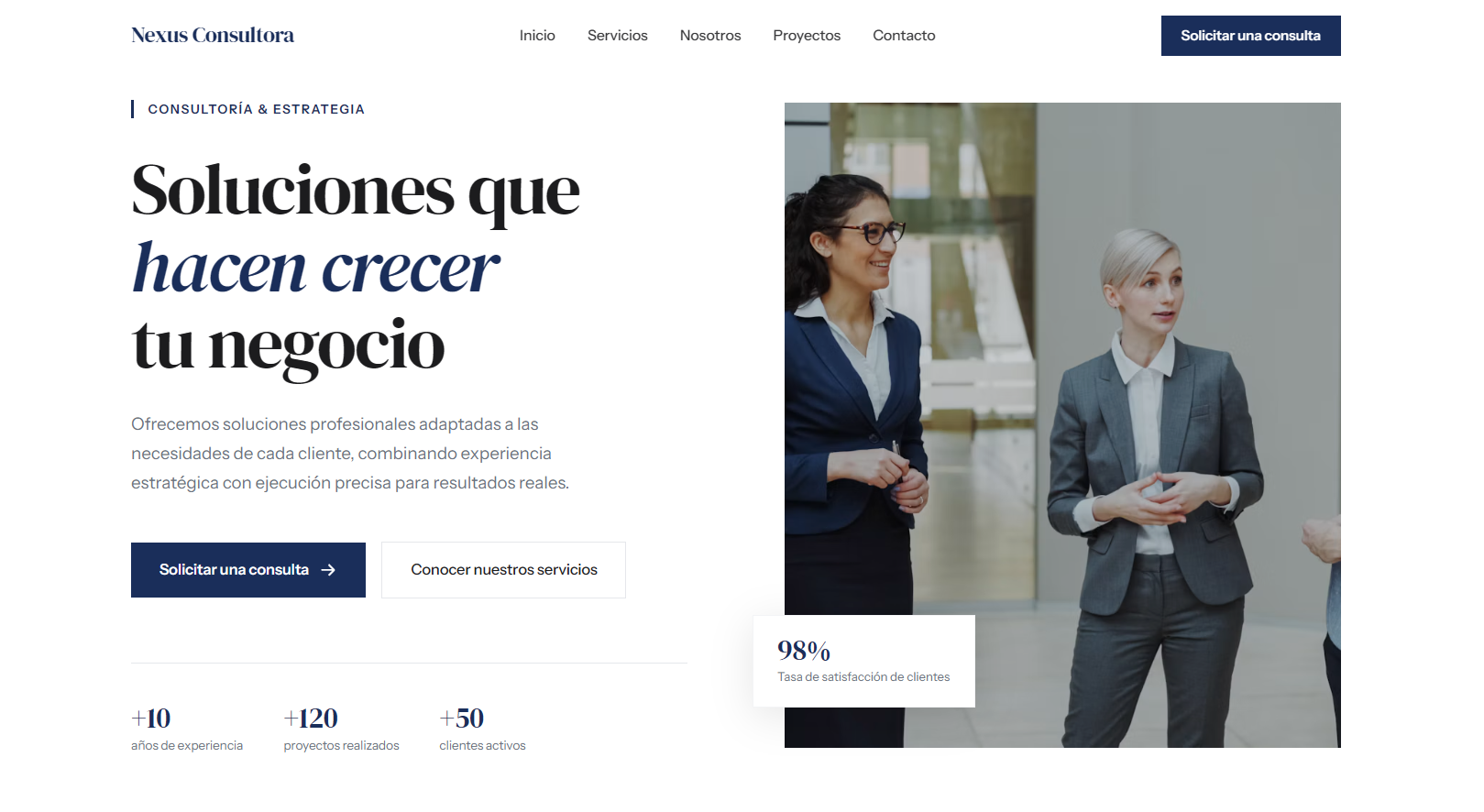Vista del proyecto conceptual Nexus Consultora